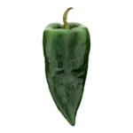 CHILE POBLANO PEPPERS