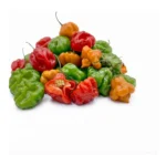 AJIES DULCES - CACHUCHA PEPPERS