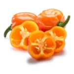 CHILE HABANERO