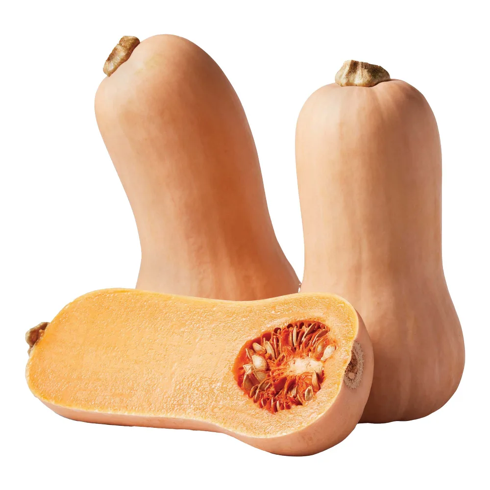 4759 BUTTERNUT SQUASH - Image 1
