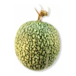 MEXICAN CHILACAYOTE TIERNO