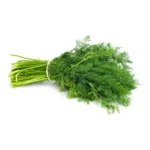 FRESH DILL - ENELDO FRESCO