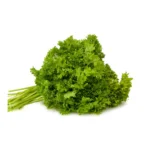 PEREJIL / PARSLEY