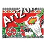 ARIZONA WATERMELON 12PK