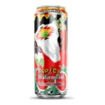 ARIZONA SPICY MUCHO WATERMELON 22Z