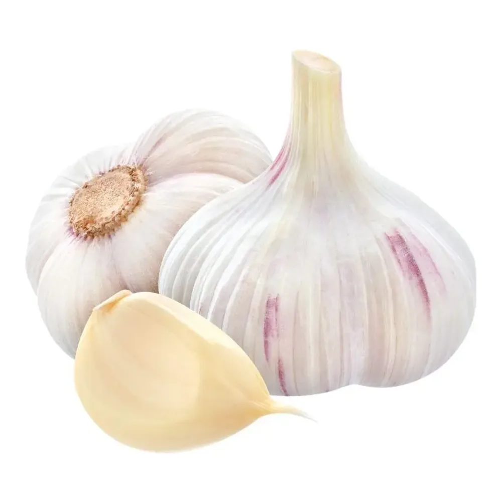 680444202514 GARLIC PACK 5PK - Image 1