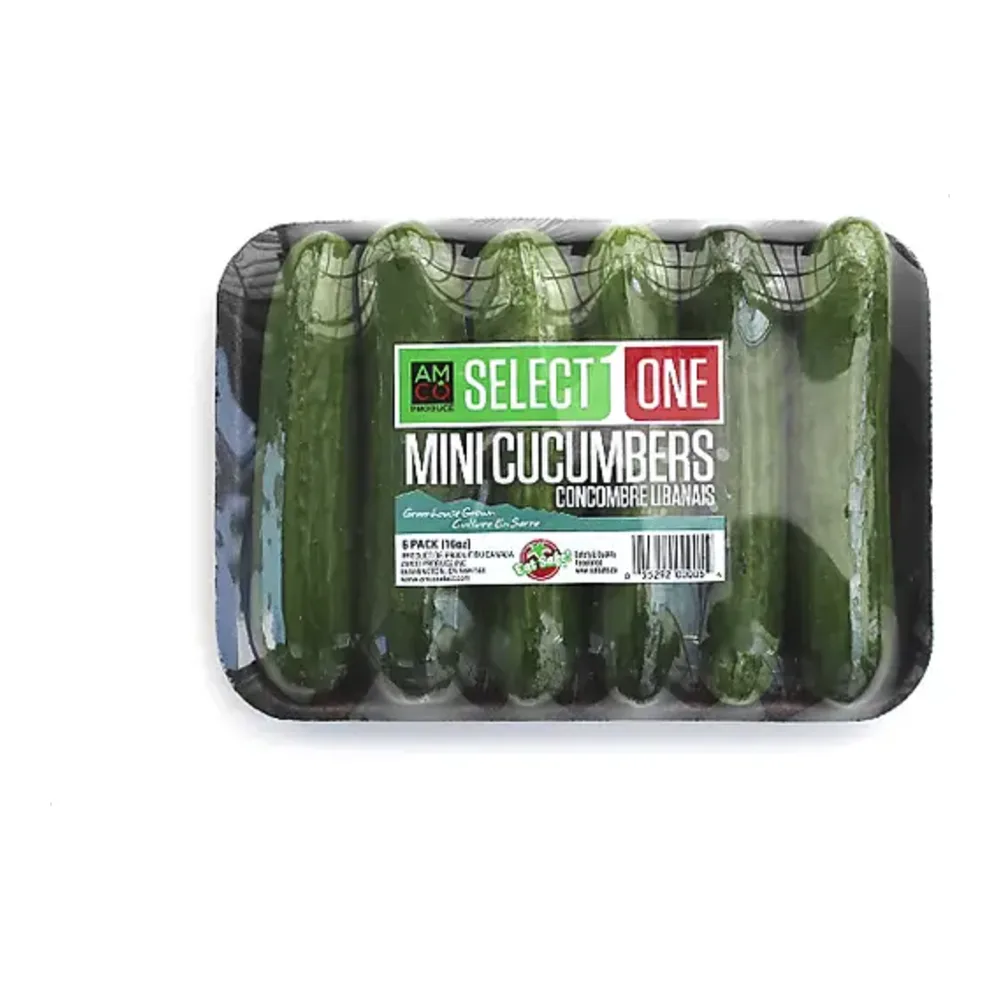 684924030048 PERSIAN MINI CUCUMBERS - Image 1