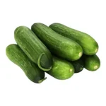 PERSIAN MINI CUCUMBERS