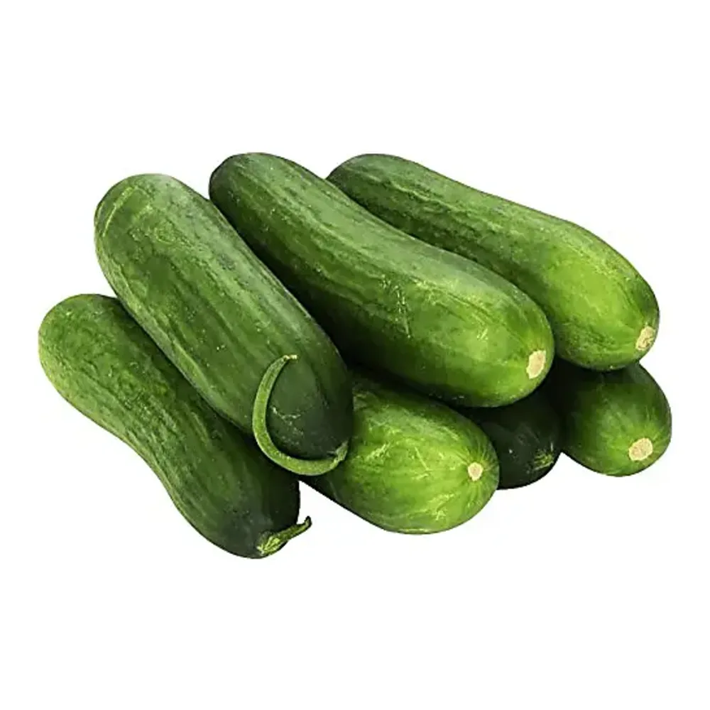 689259000599 PERSIAN MINI CUCUMBERS - Image 1