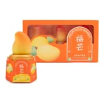 HONG GI MANGO ICE CREAM 3PK