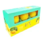 HONG GI LEMON ICE CREAM 3PK