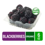 BLACKBERRIES ORGANIC DRISCOLL 6Z