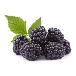 BLACKBERRIES