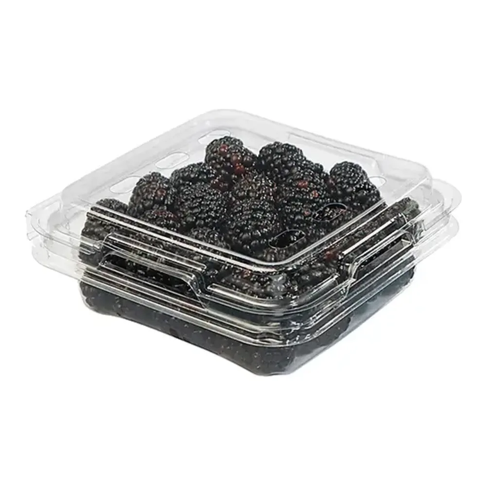 7503019519035 BLACKBERRIES - Image 1