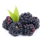 BLACKBERRIES