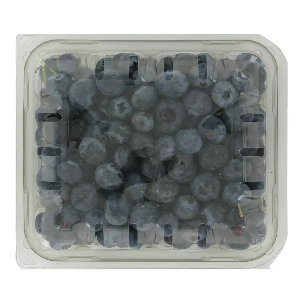 769197300071 BLUEBERRIES - Image 1