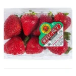 STRAWBERRIES / FRESAS
