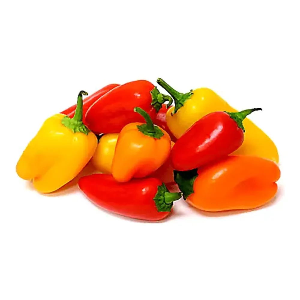 799857705281 MINI ORGANIC SWEET PEPPERS 1LB BAG - Image 1