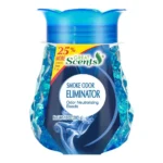 GRT SCENT SMOKE ODOR ELMNTR 10Z