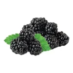 BLACKBERRIES