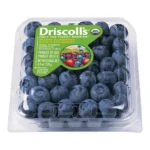 BLUEBERRIES