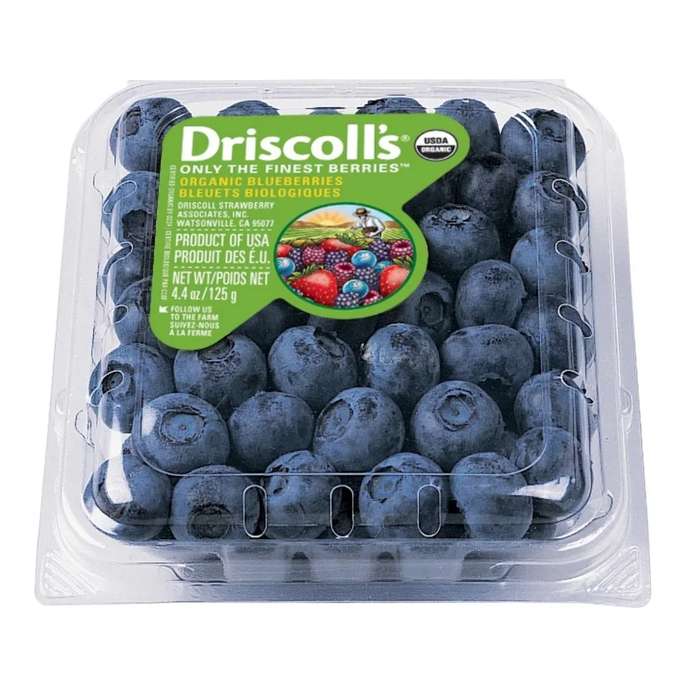 813635010364 BLUEBERRIES - Image 1