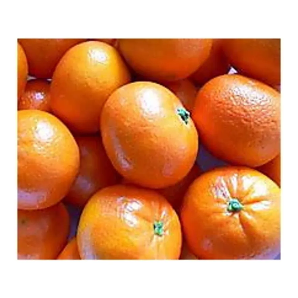842586100121 TANGERINES MANDARINAS HALO CUTIES 3LB - Image 1