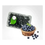 BLUEBERRIES OZBLU 11Z