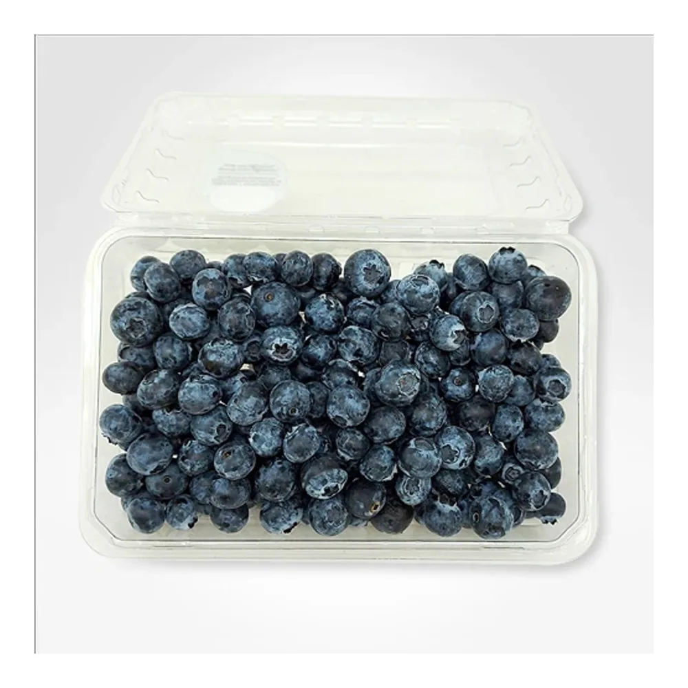 850015943577 BLUEBERRIES - Image 1