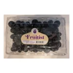 BLUEBERRIES THE FRUITIST 16Z