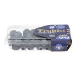 BLUEBERRIES FRUITIST LEGENDS 9.8Z