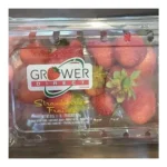 STRAWBERRIES / FRESAS