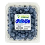 BLUEBERRIES