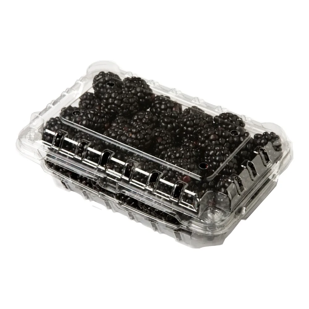 853085003141 BERRY FRESH BLACKBERRIES 12Z - Image 1