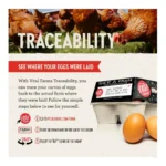 VITAL FARMS PASTURE RAISED 1DZ