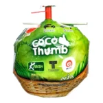 ORGANIC COCONUT COCO THUMB - COCO PELADO